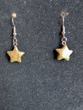 Unakite Star Earrings